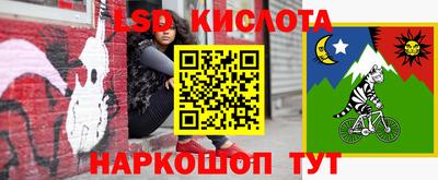 эйфоретик Краснознаменск