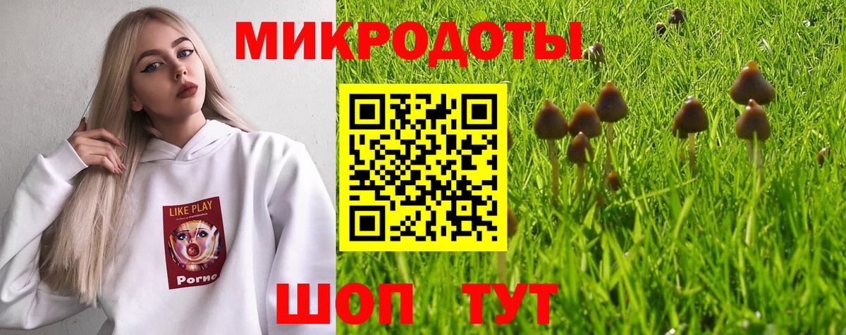 Каменск-Шахтинский  Галлюциногенные грибы мицелий  Псилоцибиновые грибы Psilocybe  Вход с VPN 